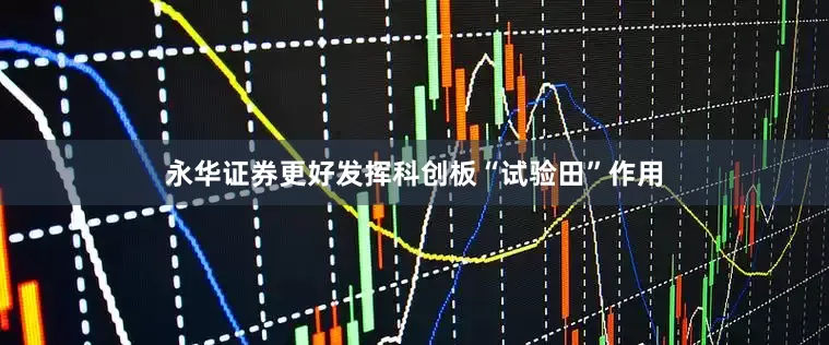 永华证券更好发挥科创板“试验田”作用