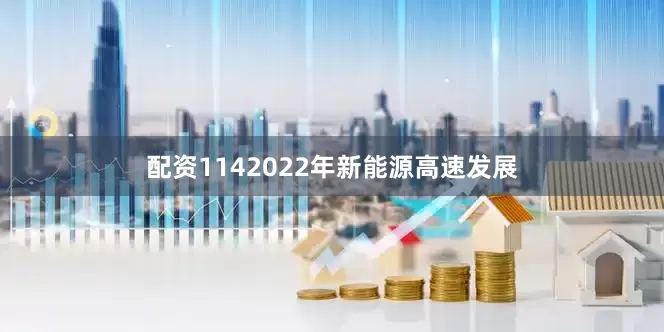 配资1142022年新能源高速发展