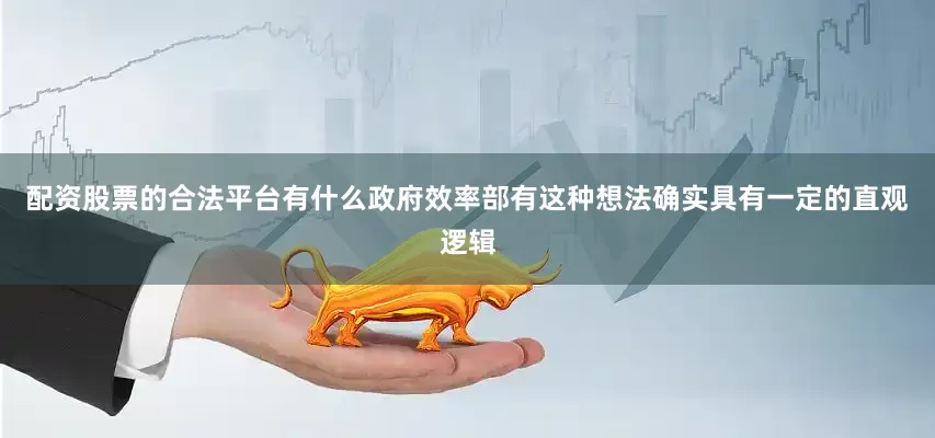 配资股票的合法平台有什么政府效率部有这种想法确实具有一定的直观逻辑