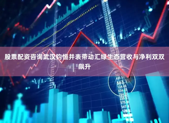 股票配资咨询武汉钧恒并表带动汇绿生态营收与净利双双飙升