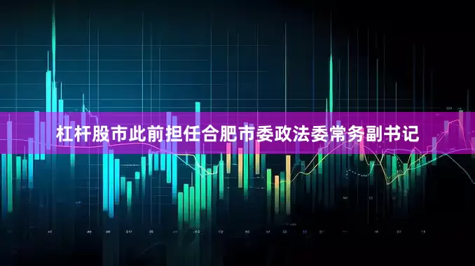 杠杆股市此前担任合肥市委政法委常务副书记